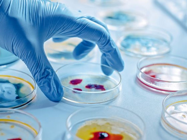 Pharmaceutical Microbiology in India